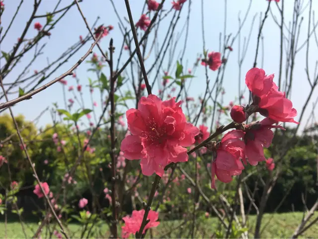 看看厦门集美园林博览苑真的太美了！