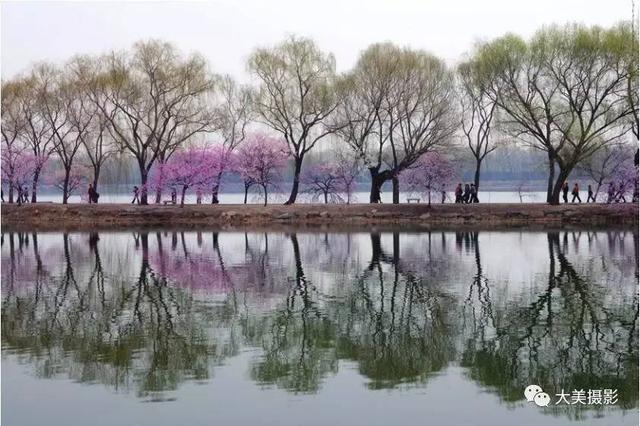 摄影干货