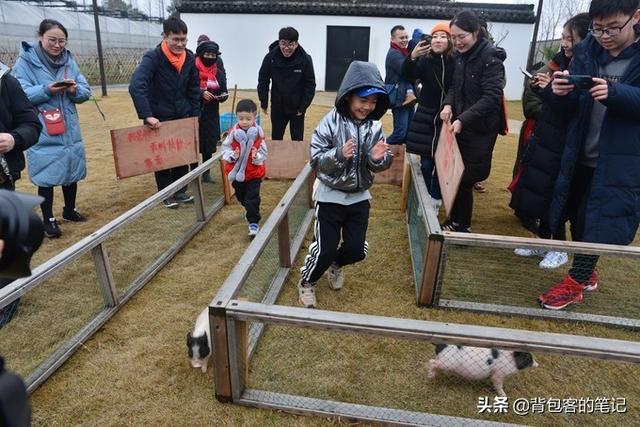 年味乌镇｜解一席江南梦，梦一段慢时光