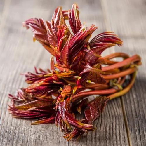 春日食鲜，春在唇齿间