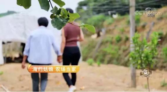 海归姑娘搞农业，一个“精”字让她年销1700万