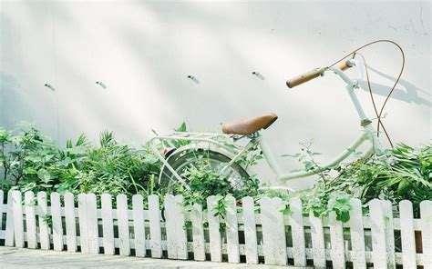 往事不回头，余生不将就