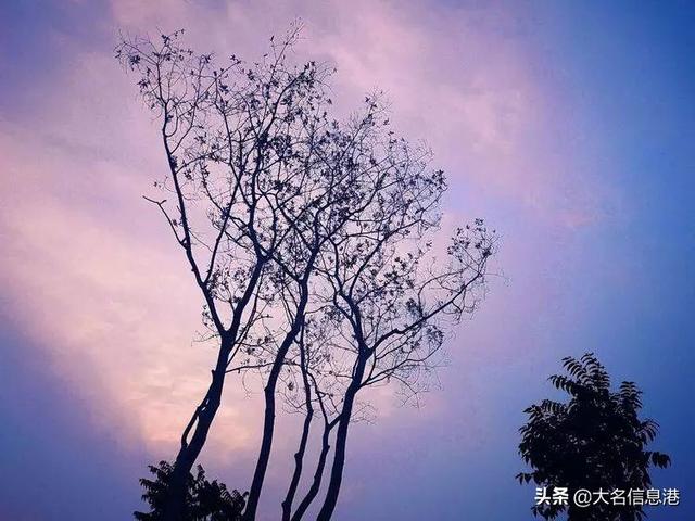 美爆了！大名北湖公園美景來(lái)了，一大波高清圖曝光
