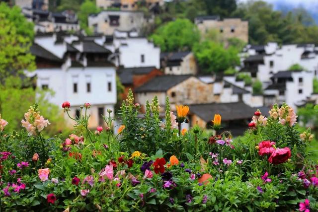 全球最美的10个鲜花小镇