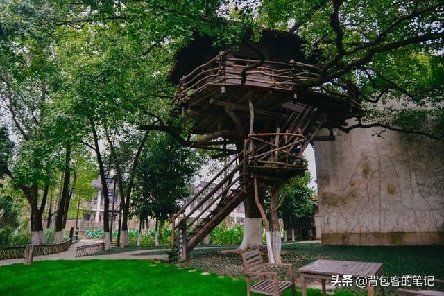 年味乌镇｜解一席江南梦，梦一段慢时光