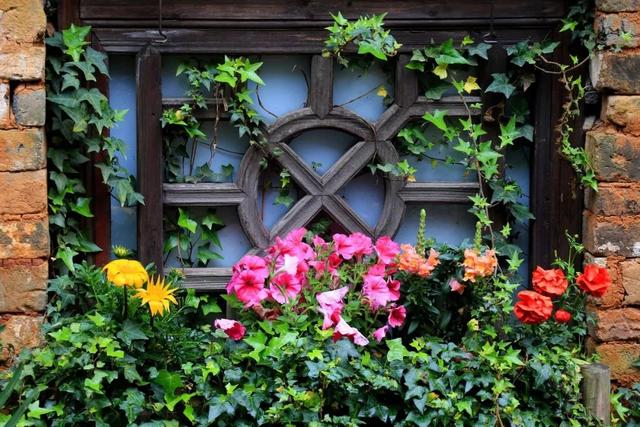 全球最美的10个鲜花小镇