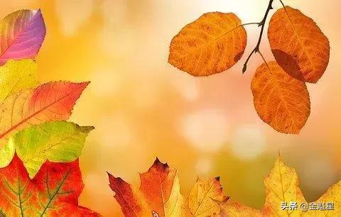 生活是自己的，不要过给别人看！