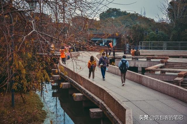 年味乌镇｜解一席江南梦，梦一段慢时光