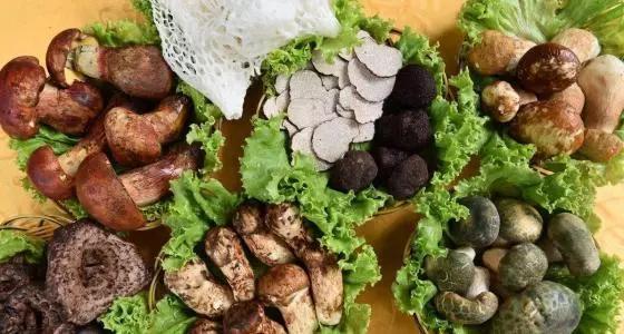 去云南旅游，这10种土特产值得带