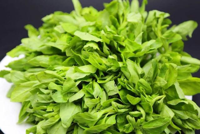 有一种难过，叫不能三月去江南“吃”春天