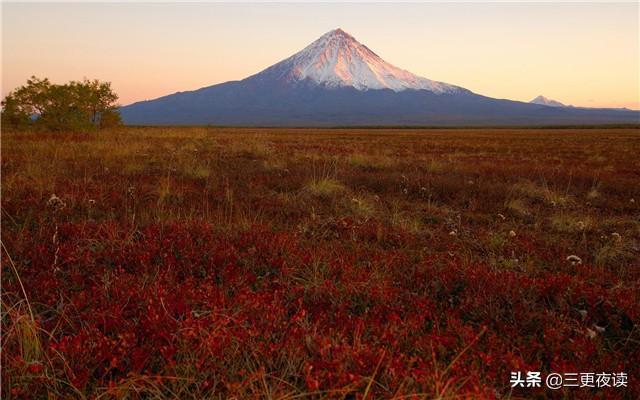平淡最美，简单最好