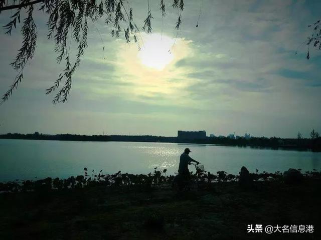 美爆了！大名北湖公園美景來(lái)了，一大波高清圖曝光