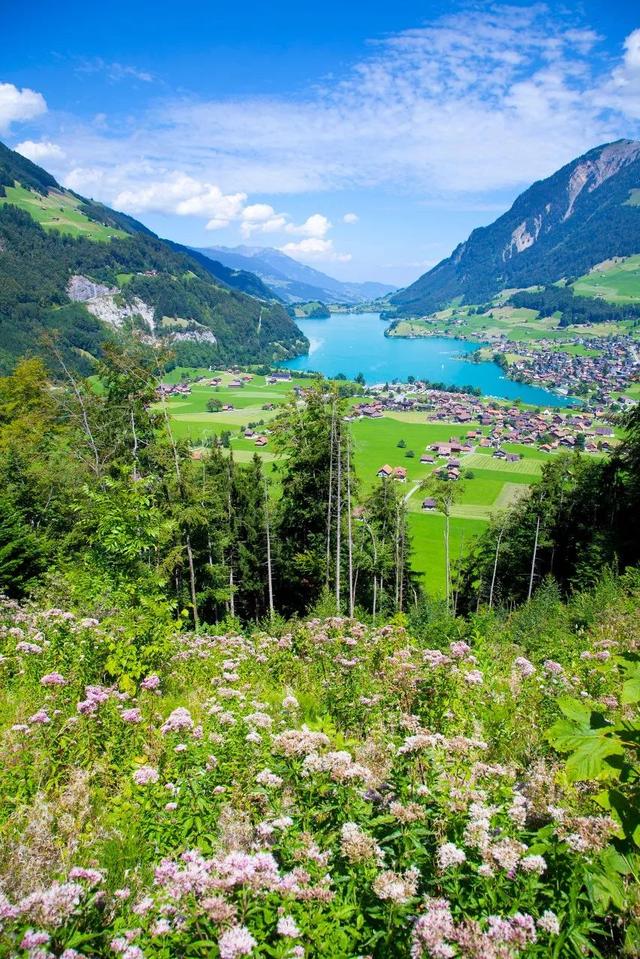 全球最美的10个鲜花小镇