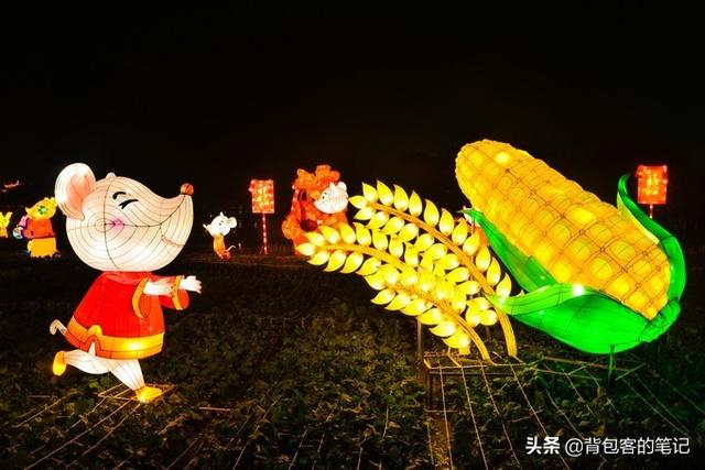 年味乌镇｜解一席江南梦，梦一段慢时光