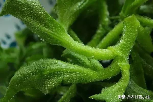 这些稀奇蔬菜水果大家有吃过吗？