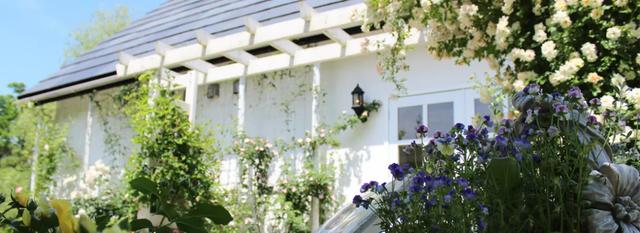 日本精灵庄园，让你放下脚步，忘掉肺炎