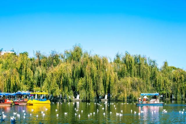 2020年第一份旅行清单，最适合1月旅行的8个目的地