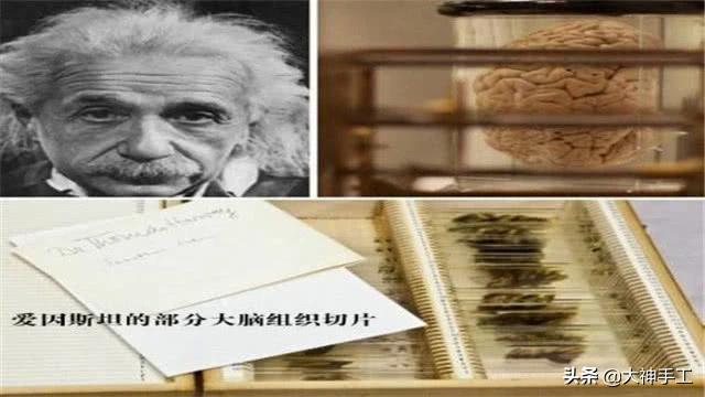 当年偷走“爱因斯坦大脑”的人，最后研究出了什么？