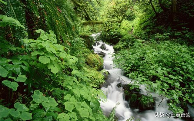 平淡最美，简单最好