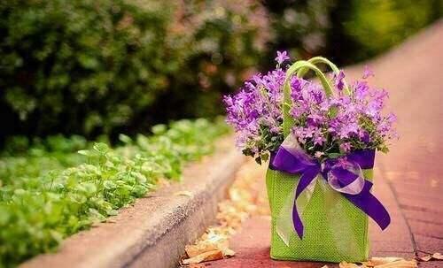 往事不回头，余生不将就