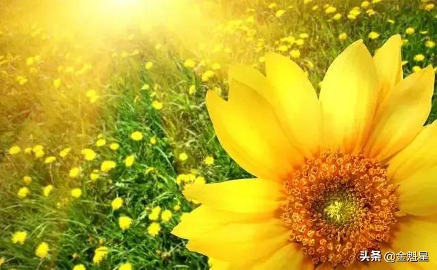 生活是自己的，不要过给别人看！