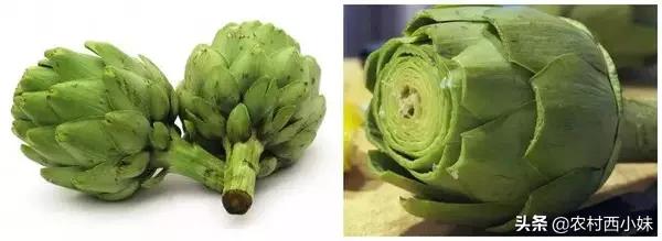 这些稀奇蔬菜水果大家有吃过吗？