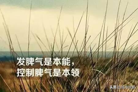 控制情绪，是我们一生的必修课