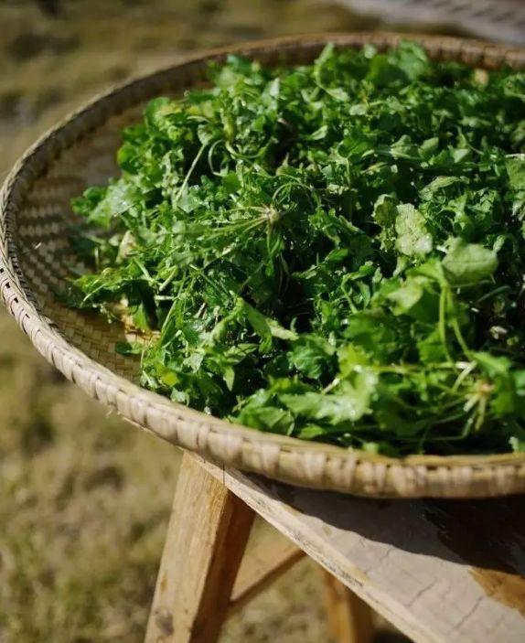 有一种难过，叫不能三月去江南“吃”春天