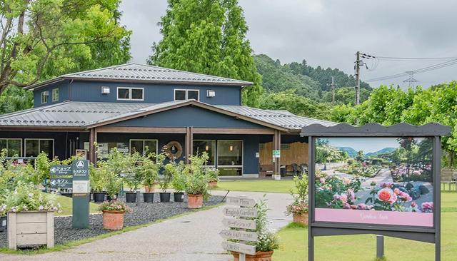 日本精灵庄园，让你放下脚步，忘掉肺炎