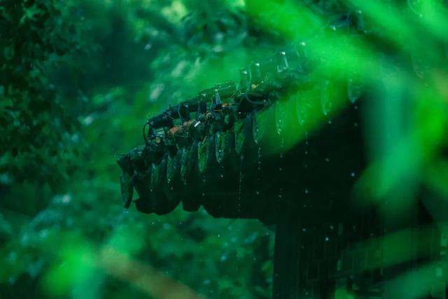 有一种难过，叫不能三月去江南“吃”春天